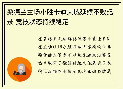 桑德兰主场小胜卡迪夫城延续不败纪录 竞技状态持续稳定
