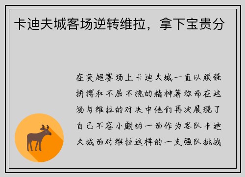 卡迪夫城客场逆转维拉，拿下宝贵分
