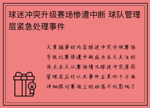 球迷冲突升级赛场惨遭中断 球队管理层紧急处理事件